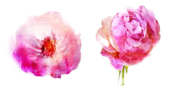 Watercolor flowers , isolated on white background - Foto, imagen