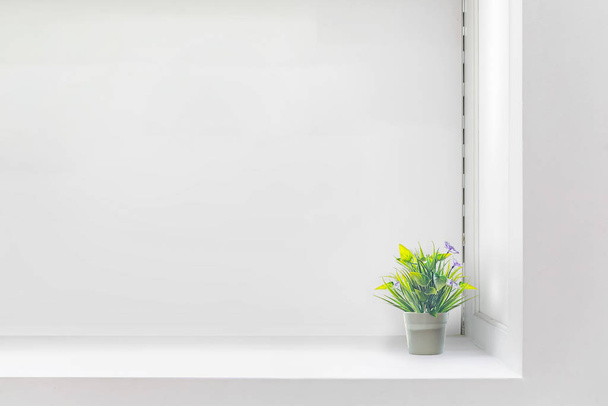 White shelf against white wall with green plant. copy space - Foto, Bild
