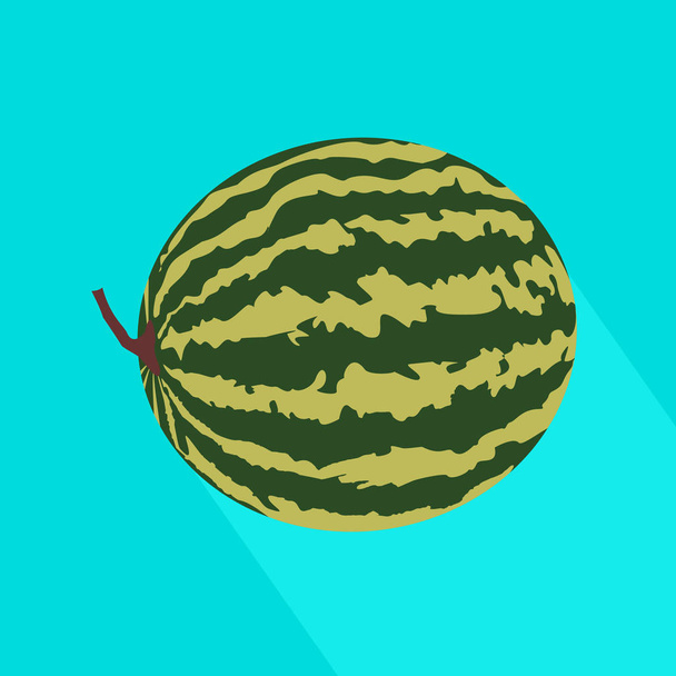 Icono de sandía con sombra larga. Ilustración de frutas vectoriales con diseño plano
. - Vector, Imagen