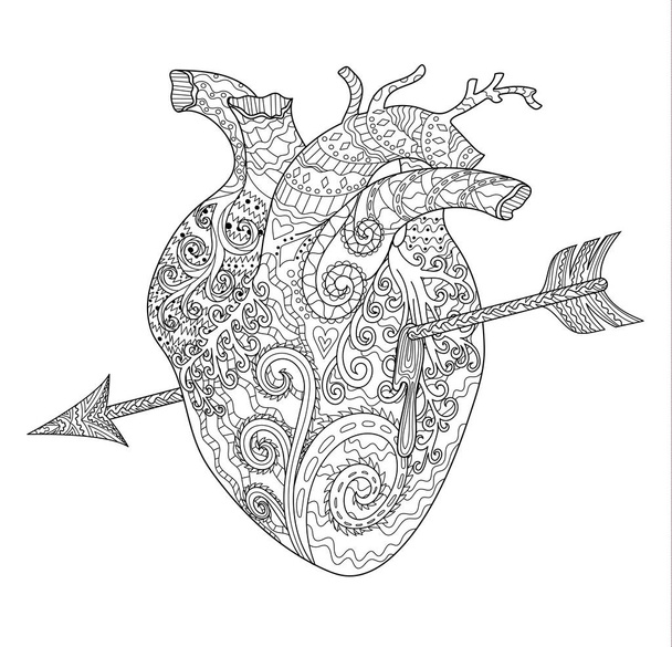 Human patterned heart for coloring book. - Vector, Image