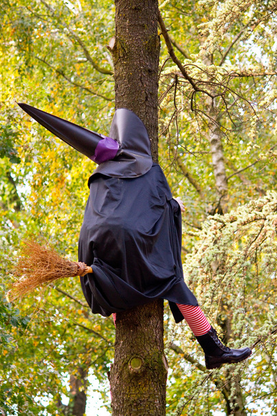 Funny witch - Foto, Bild