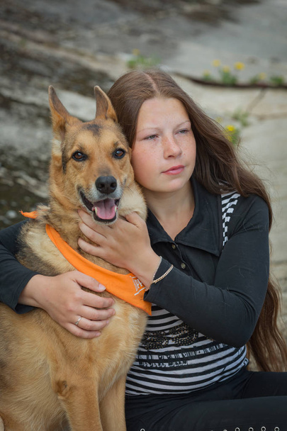 Tyttö koiran kanssa istuu rannikolla
 - Valokuva, kuva