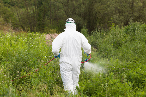 Pest control worker spraying insecticide - Photo, image