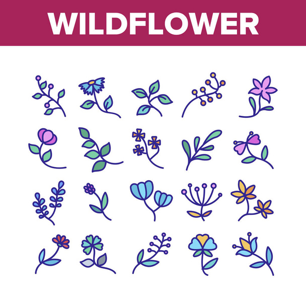 Природные иконы Wildflower задают вектор
 - Вектор,изображение
