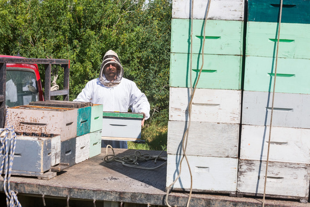 Beekeeper Loading Honeycomb Crate In Truck - Foto, Imagen