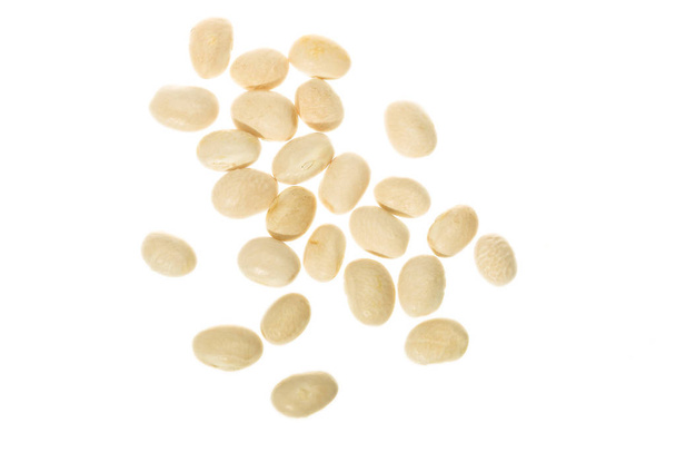White beans of the Fessol de Santa Pau variety - Фото, изображение