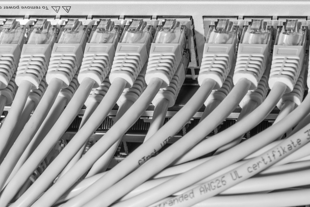 сетевые кабели подключенные к коммутатору - Фото, изображение