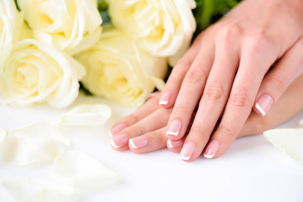 Χέρια μιας γυναίκας με όμορφο γαλλικό μανικιούρ και λευκά τριαντάφυλλα - Φωτογραφία, εικόνα