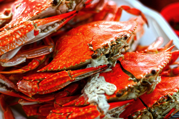 Gros plan sur les crabes cuits à la vapeur
 - Photo, image
