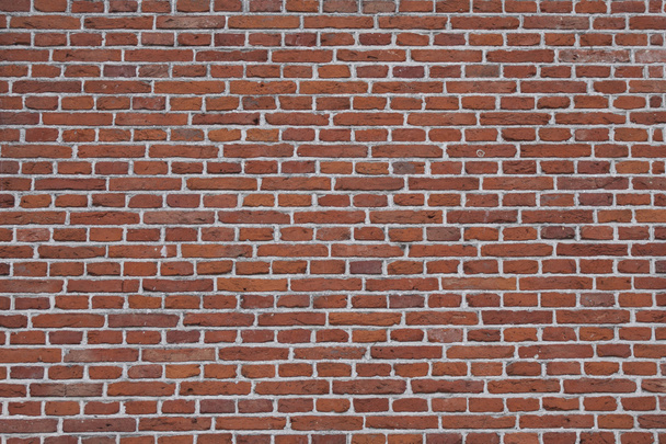 Dutch brick wall - Photo, Image