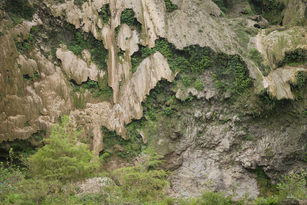 rots textuur met mos, groen en gemalen - Foto, afbeelding