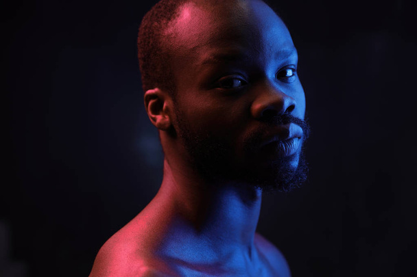 portrait of a handsome black man in red and blue light on dark background  with naked sports torso looking in the camera  - Fotó, kép