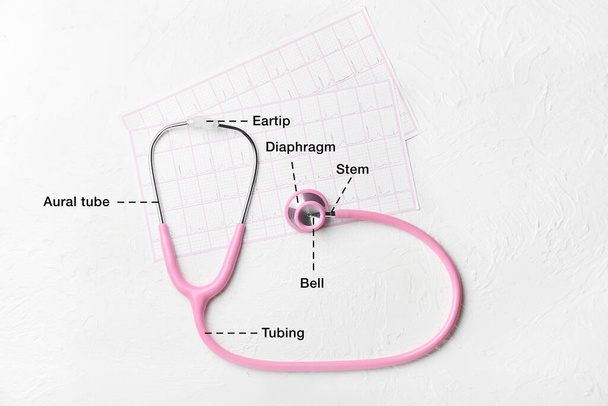 Nowoczesny stetoskop z nazwami poszczególnych części i kardiogramami na białym tle - Zdjęcie, obraz