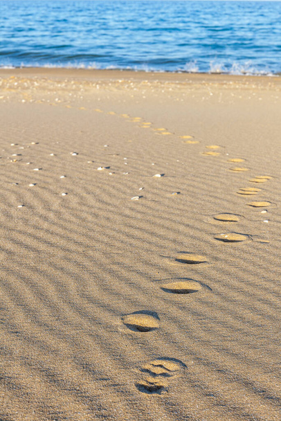 Stopy zvířat v písku. Písková textura. Pozadí z hnědého písku. selektivní zaměření - Fotografie, Obrázek