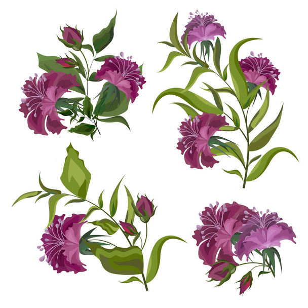 Vector fuchsia flowers. All elements are isolated. - Vector, Image