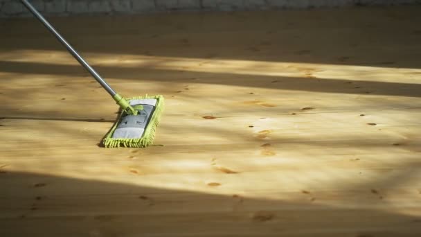 house cleaning washing of wooden floor - Footage, Video