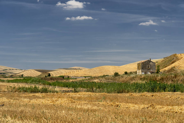 Paesaggio rurale in Basilicata in estate
 - Foto, immagini