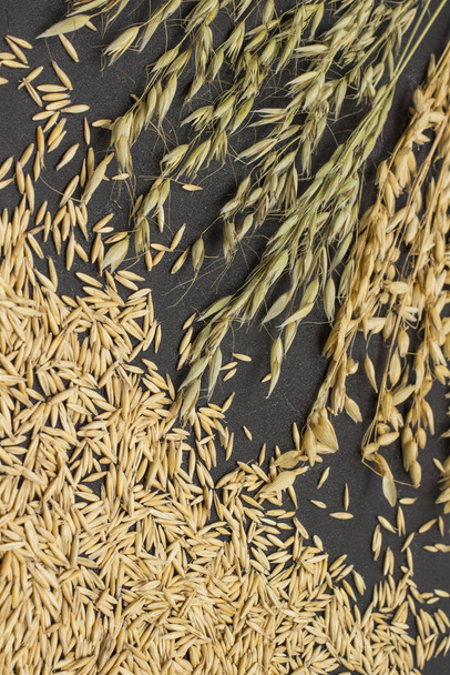 Whole grains and spikelets of oats - Zdjęcie, obraz