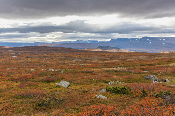 View to Sarek National Park in autumn, Sweden, selective focus - 写真・画像
