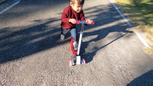 Cute little girl dziecko zabawy do jazdy na skuterze na drodze w parku letnim. Pojęcie szczęśliwej rodziny i dzieciństwa. - Materiał filmowy, wideo