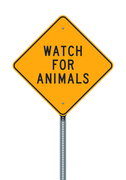 Ilustração vetorial do sinal de estrada amarelo Watch for Animals
 - Vetor, Imagem