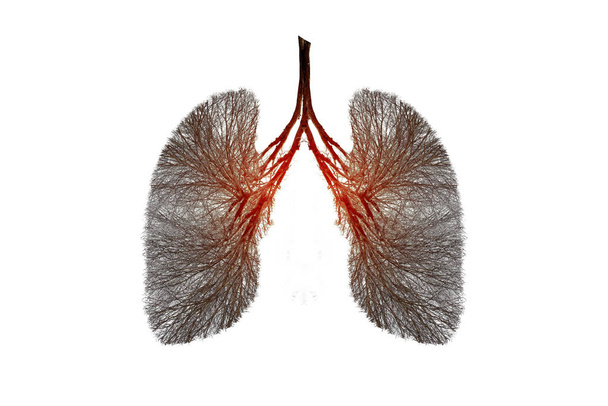 Illustration of lung tree (Environment and Medicine) - Φωτογραφία, εικόνα