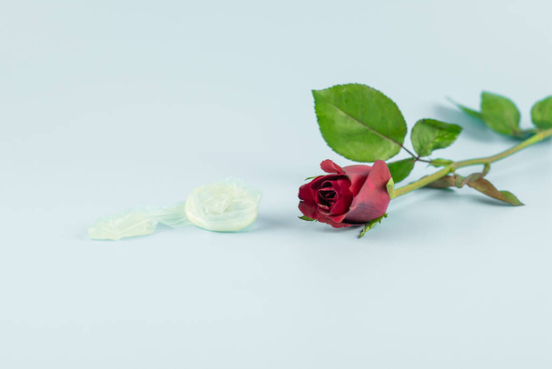 Rode roos bloem en gebruikt condoom op blauwe achtergrond. Liefde, Romein. - Foto, afbeelding