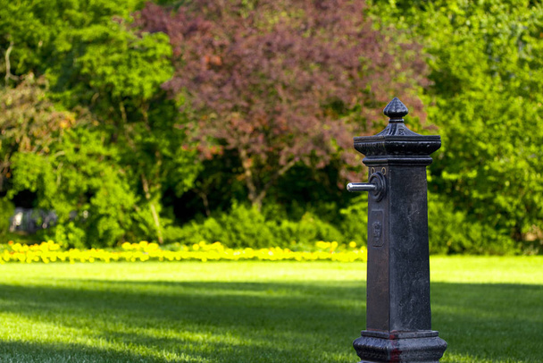 Fountain in the park - Fotografie, Obrázek