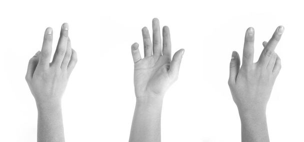 светлая кожа рук женщины на белом фоне с различными позами
 - Фото, изображение