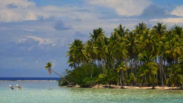 Palmiye ağaçları, turkuaz suları ve mavi gökyüzü olan tropik bir sahil. - Video, Çekim