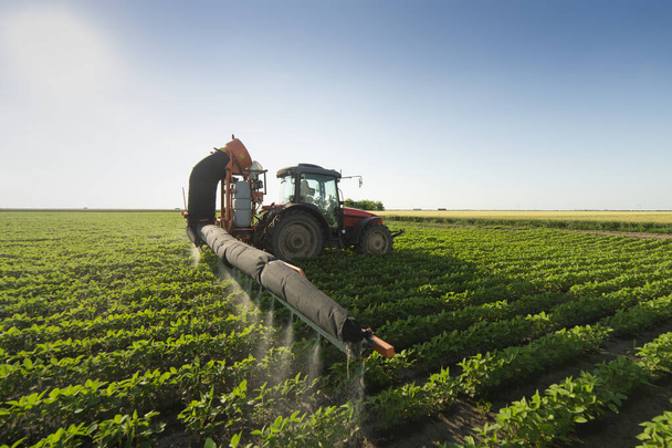 Spruzzare pesticidi nei campi di soia
 - Foto, immagini