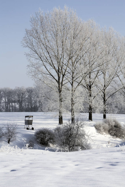Beautiful view of winter landscape  - Zdjęcie, obraz