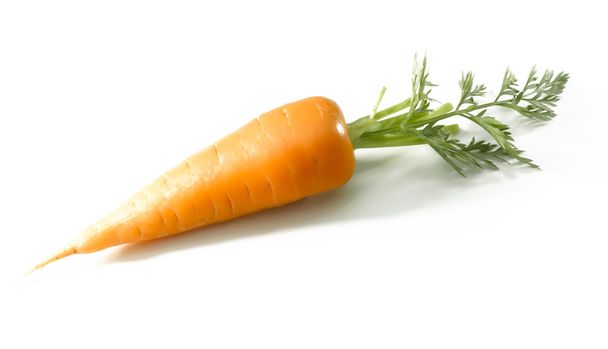 Короткая морковка изолирована на белом
 - Фото, изображение