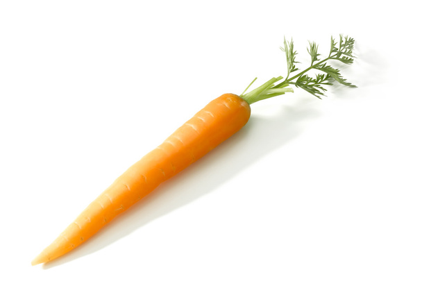Carrot - Photo, Image