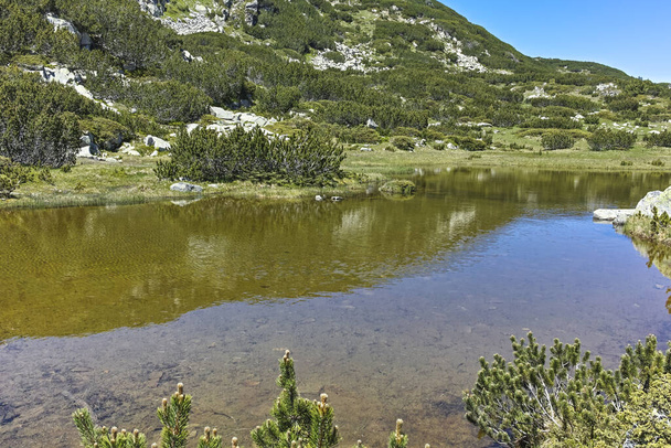 Маленькие озера рядом с Рыбными озерами, гора Рила, Болгария
 - Фото, изображение