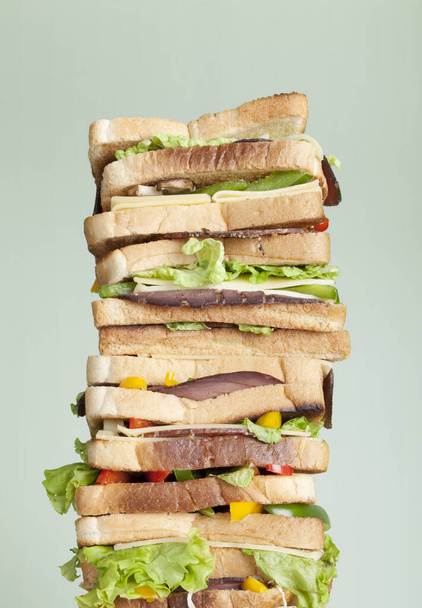 food concept, salami meat, snack time - Foto, Imagen