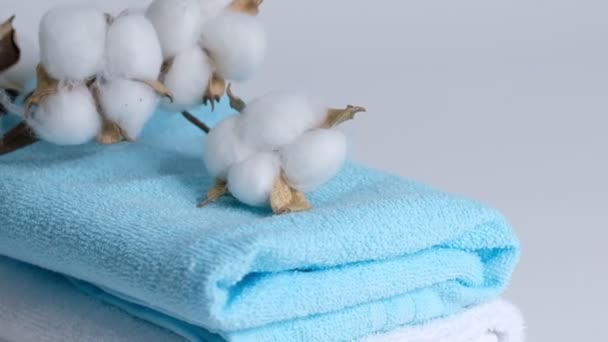 asciugamani puliti bianchi e blu e un ramo di cotone su sfondo bianco. Primo piano rallentatore
. - Filmati, video