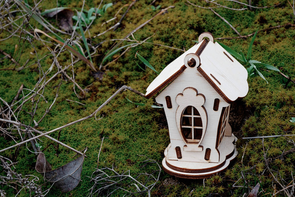 деревянный домик на траве с мхом стоит во второй половине дня
 - Фото, изображение