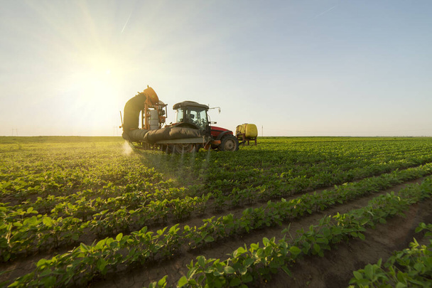 Pulverización de pesticidas en campos de soja
 - Foto, Imagen