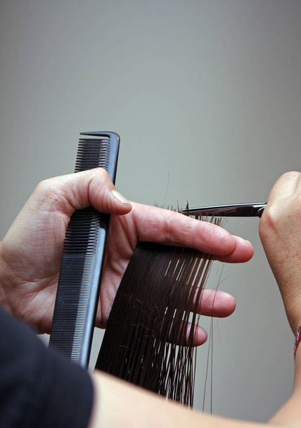 barber shop, hairdresser cutting a comb - Foto, Bild
