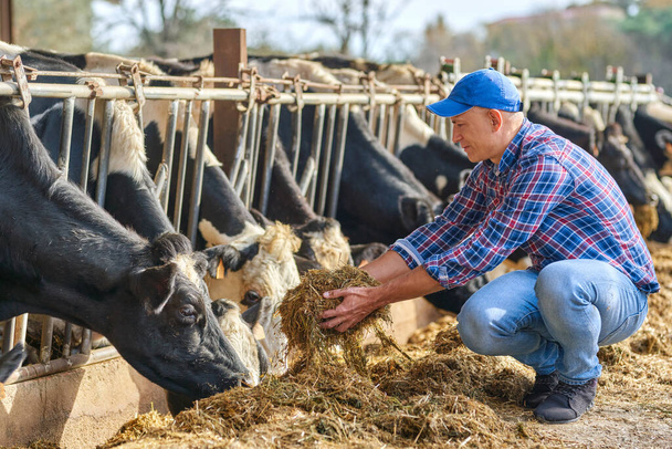 Portrait of a man on livestock ranches. - Foto, Bild