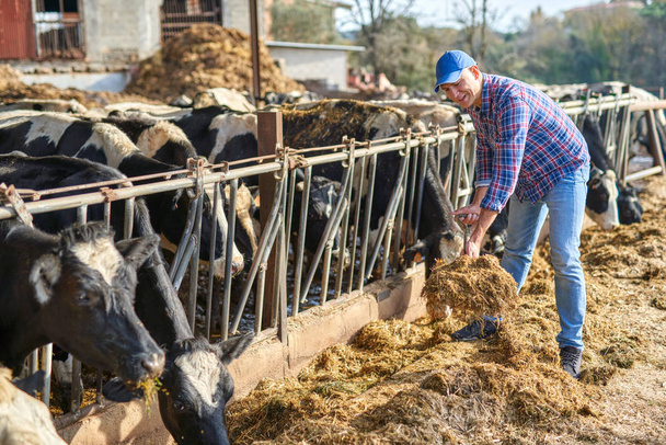 Человек работает на ранчо для скота
. - Фото, изображение