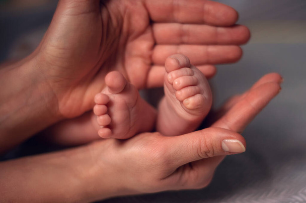 Parent holding in the hands feet of newborn baby. - 写真・画像