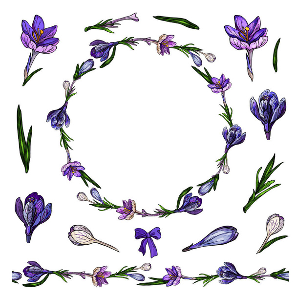 Circle made from crocuses for season spring design - Vettoriali, immagini