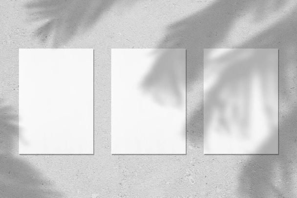 Tres póster rectángulo vertical blanco vacío o maquetas de tarjetas con sombras de hojas de palma
 - Foto, Imagen