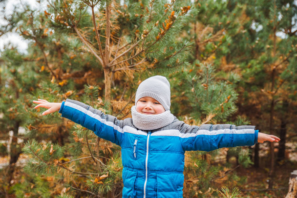 kisfiú őszi ruhában az erdőben a fatönkön - Fotó, kép