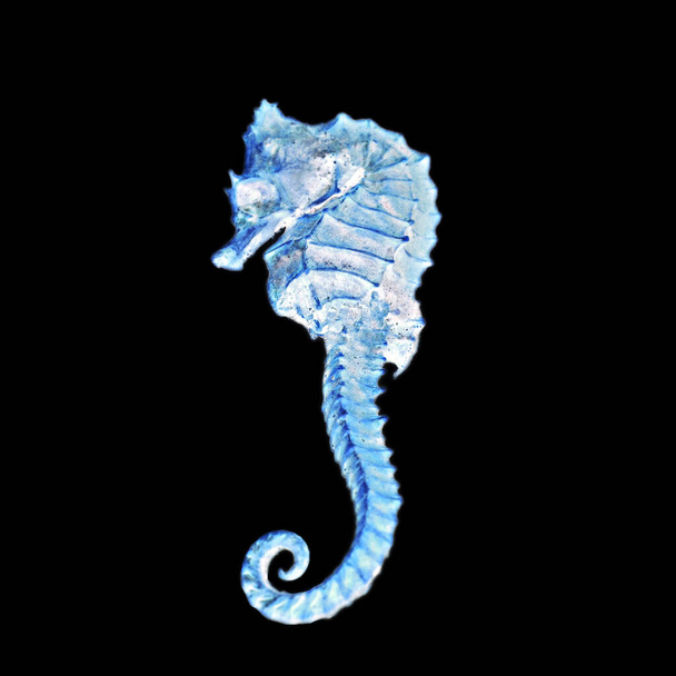 A negative of a seahorse over black background - Photo, Image