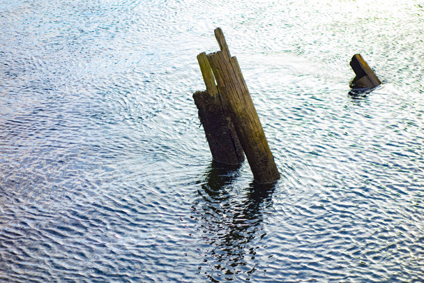 Old wood structures in the river - Photo, Image
