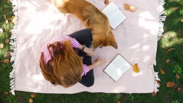 girl with corgi dog resting at the park reading a book and enjoying - Кадри, відео