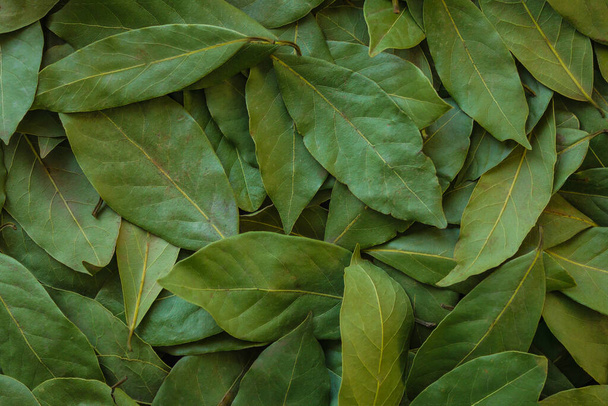 Green dry leaves. - Foto, afbeelding